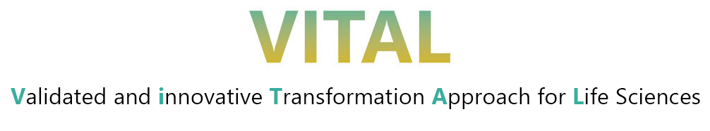 Transformationsansatz für SAP S/4HANA